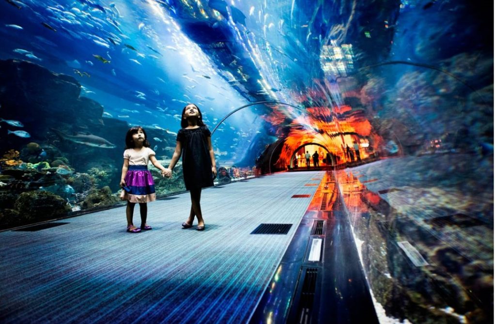 Dubai Aquarium & Underwater Zoo Dubai United Arab Emirates things to do in Dubai this weekend, Dubai holidays,