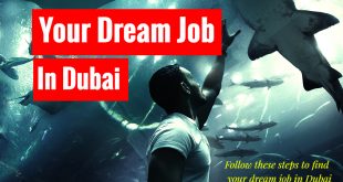 Find Dream Job In Dubai