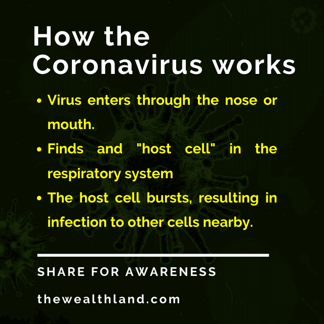 How the coronavirus works
