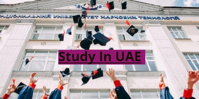 Study In UAE For International Students